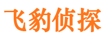 金川市婚外情调查